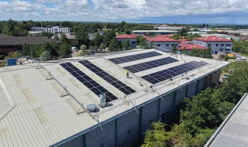 How Much Money Do Solar Panels Save Per Year