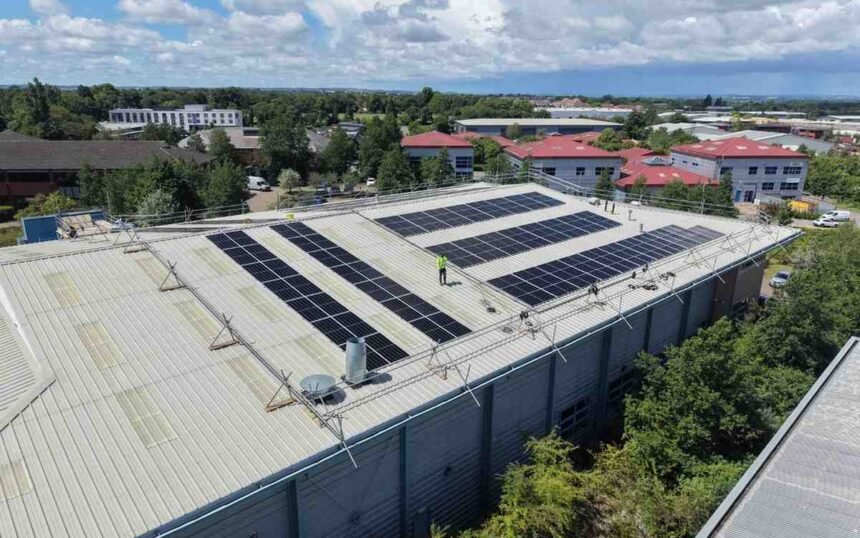 How Much Money Do Solar Panels Save Per Year
